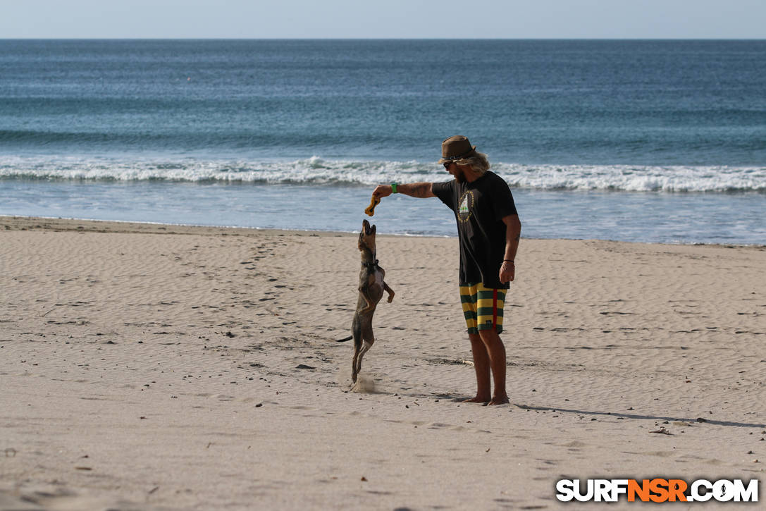 Nicaragua Surf Report - Report Photo 01/31/2016  2:47 PM 