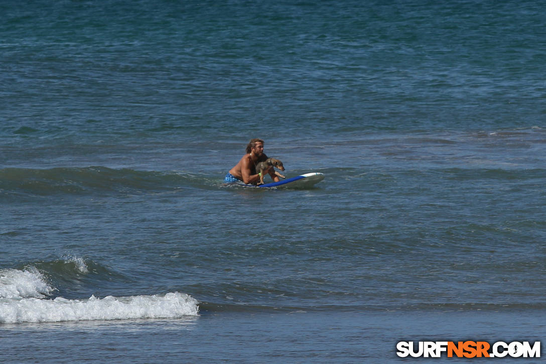 Nicaragua Surf Report - Report Photo 02/01/2016  1:17 PM 