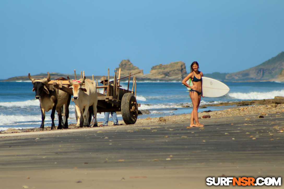 Nicaragua Surf Report - Report Photo 11/30/2017  7:15 PM 