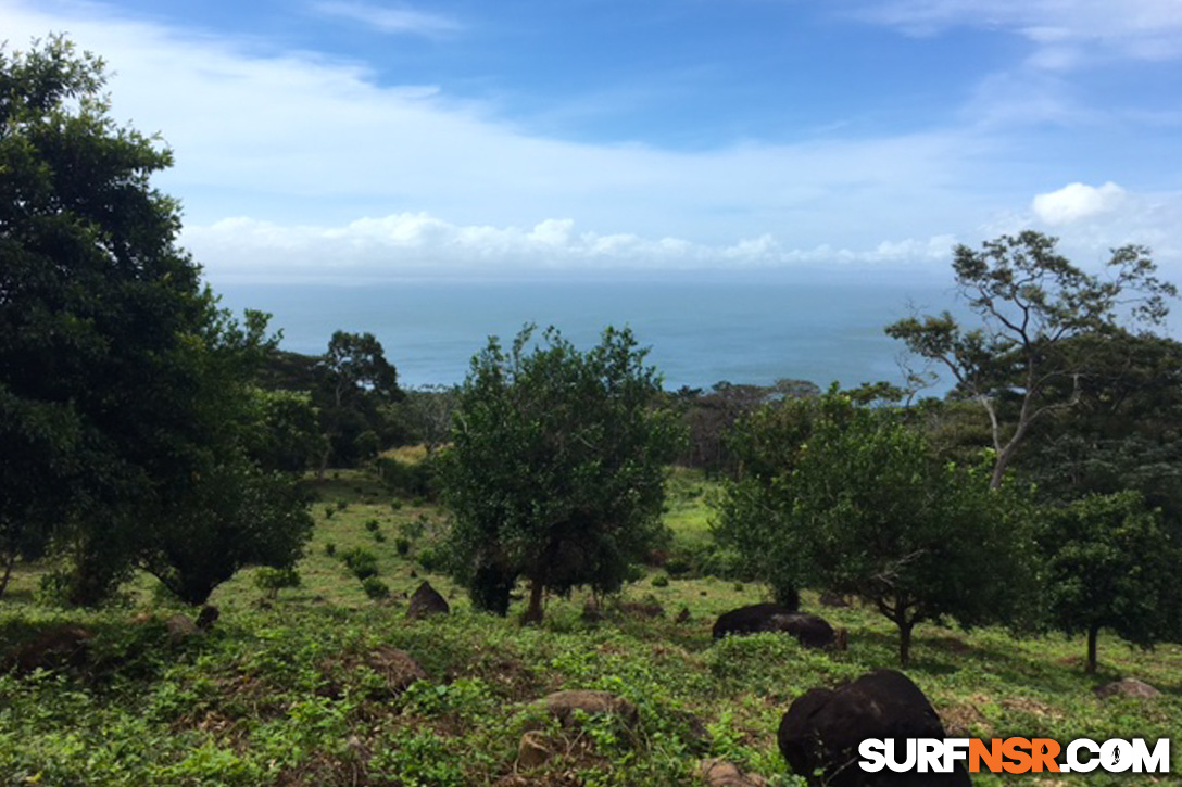 Nicaragua Surf Report - Report Photo 12/16/2016  7:44 AM 