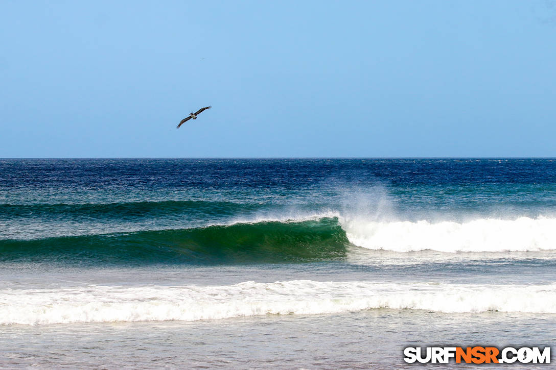 Nicaragua Surf Report - Report Photo 02/26/2022  3:18 PM 