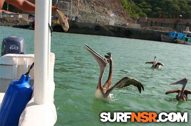 Nicaragua Surf Report - Report Photo 08/30/2006 9:59 PM