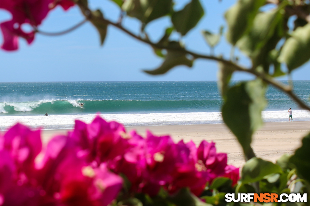 Nicaragua Surf Report - Report Photo 02/13/2017  3:31 PM 