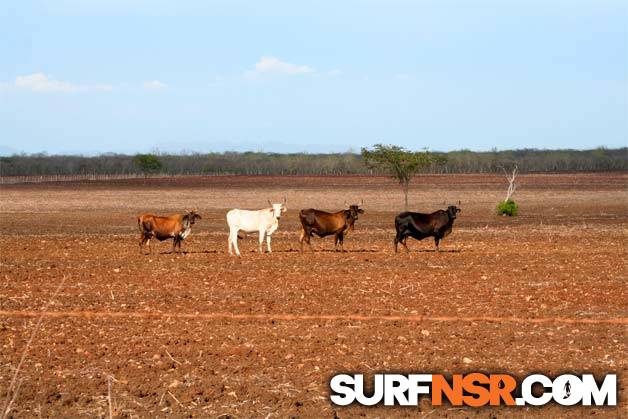Nicaragua Surf Report - Report Photo 07/20/2006 12:15 AM