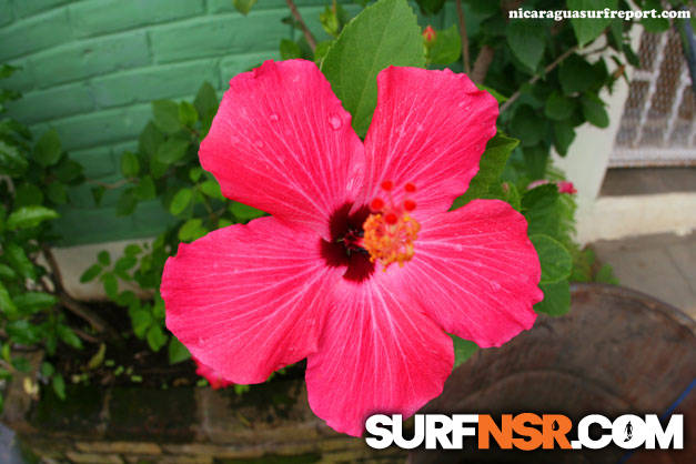 Nicaragua Surf Report - Report Photo 08/29/2008  2:04 PM 