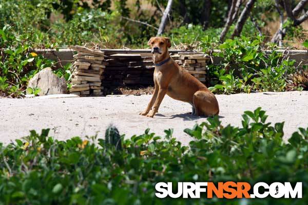 Nicaragua Surf Report - Report Photo 03/04/2011  5:40 PM 