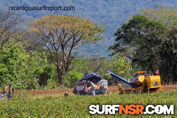 Nicaragua Surf Report - Report Photo 01/10/2014  12:35 PM 