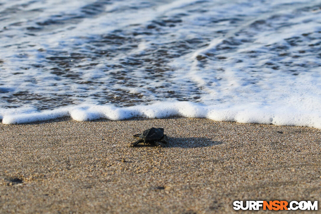 Nicaragua Surf Report - Report Photo 08/06/2023 10:38 AM