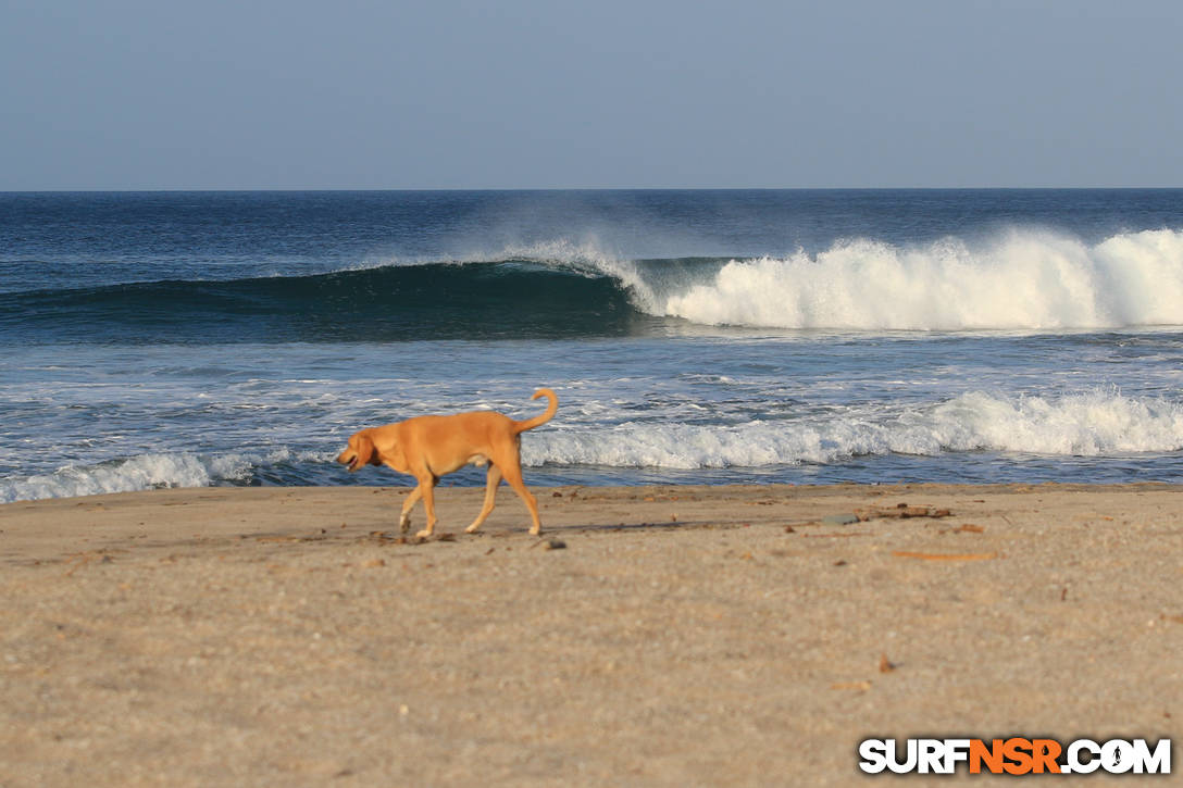 Nicaragua Surf Report - Report Photo 03/31/2016  10:46 AM 