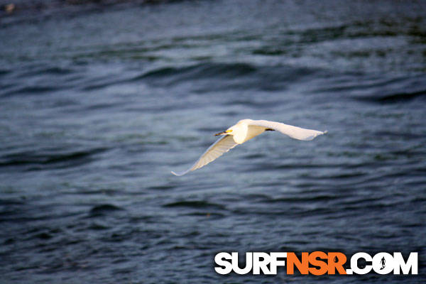 Nicaragua Surf Report - Report Photo 11/12/2010  10:43 AM 
