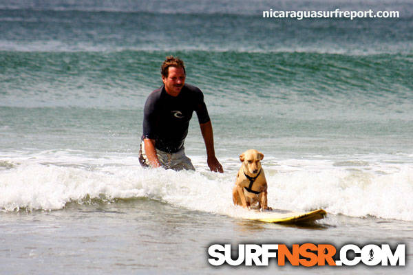 Nicaragua Surf Report - Report Photo 01/23/2013  4:40 PM 