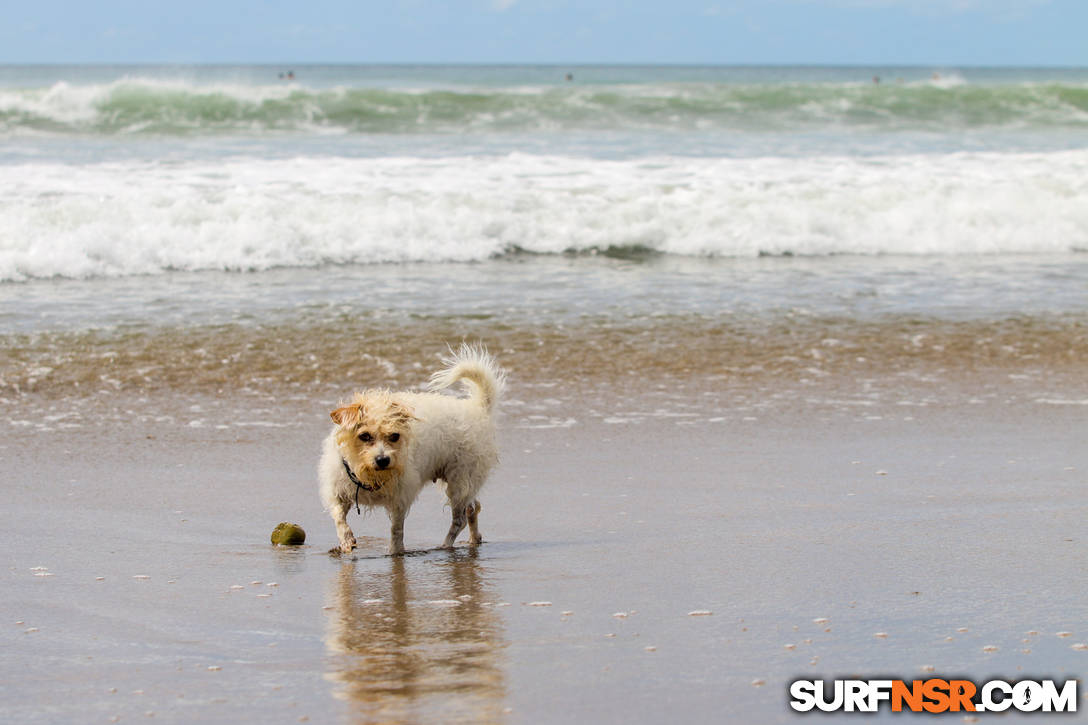 Nicaragua Surf Report - Report Photo 11/11/2021  1:14 PM 