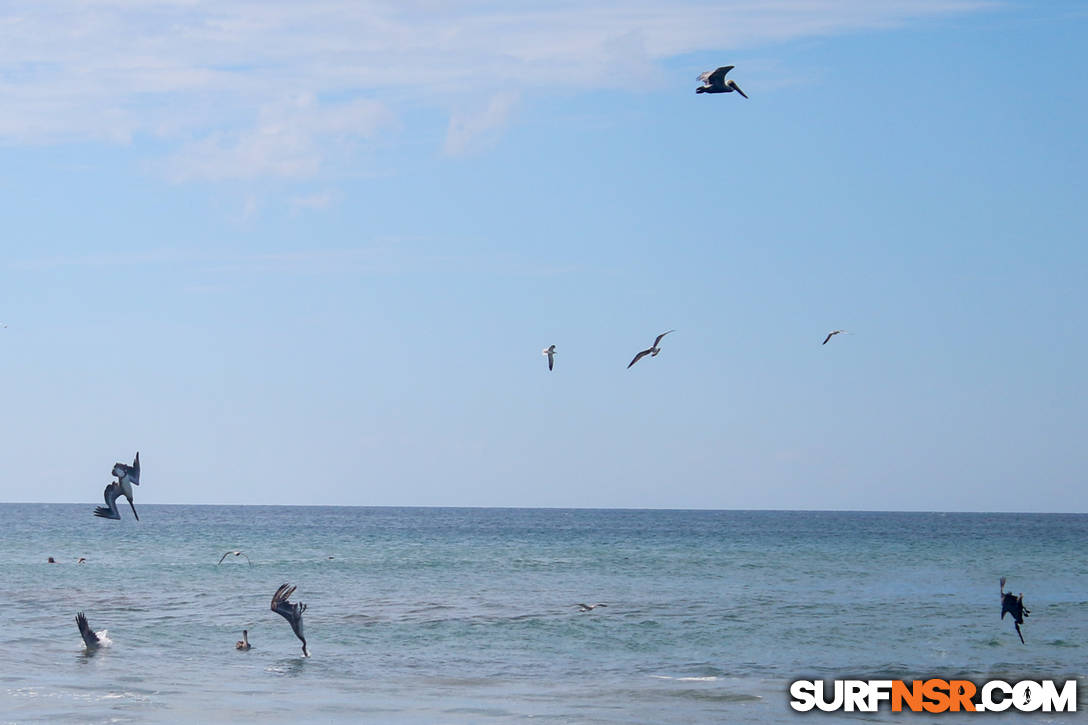 Nicaragua Surf Report - Report Photo 01/09/2021  2:08 PM 