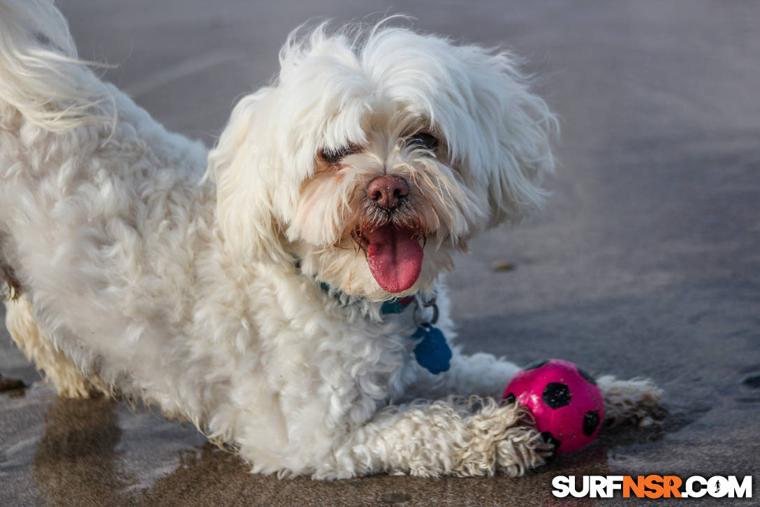 Nicaragua Surf Report - Report Photo 04/28/2021  8:13 PM 