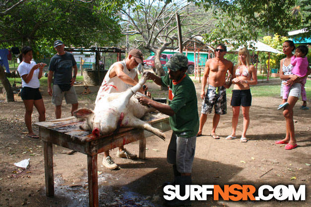 Nicaragua Surf Report - Report Photo 12/19/2008  2:59 PM 