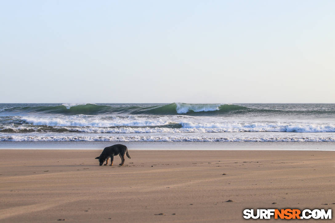 Nicaragua Surf Report - Report Photo 02/19/2020  10:08 PM 