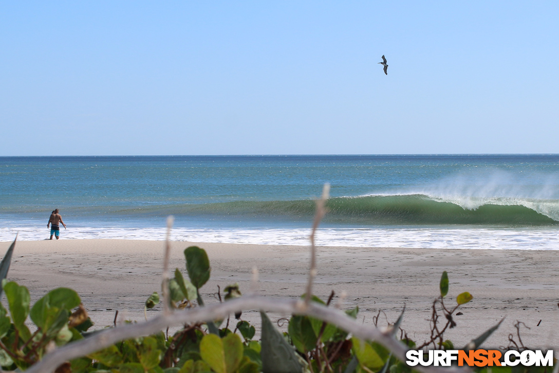 Nicaragua Surf Report - Report Photo 02/12/2017  3:49 PM 