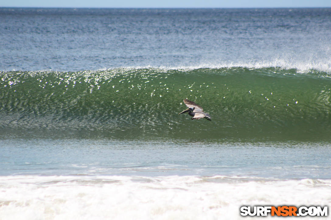 Nicaragua Surf Report - Report Photo 02/24/2021  10:15 PM 