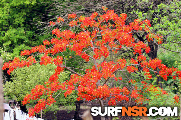 Nicaragua Surf Report - Report Photo 05/30/2013  4:10 PM 