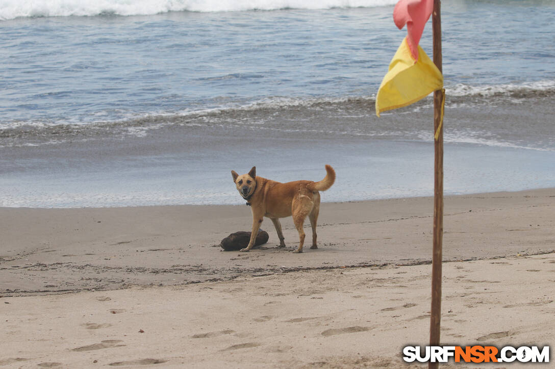 Nicaragua Surf Report - Report Photo 10/12/2023 4:54 PM