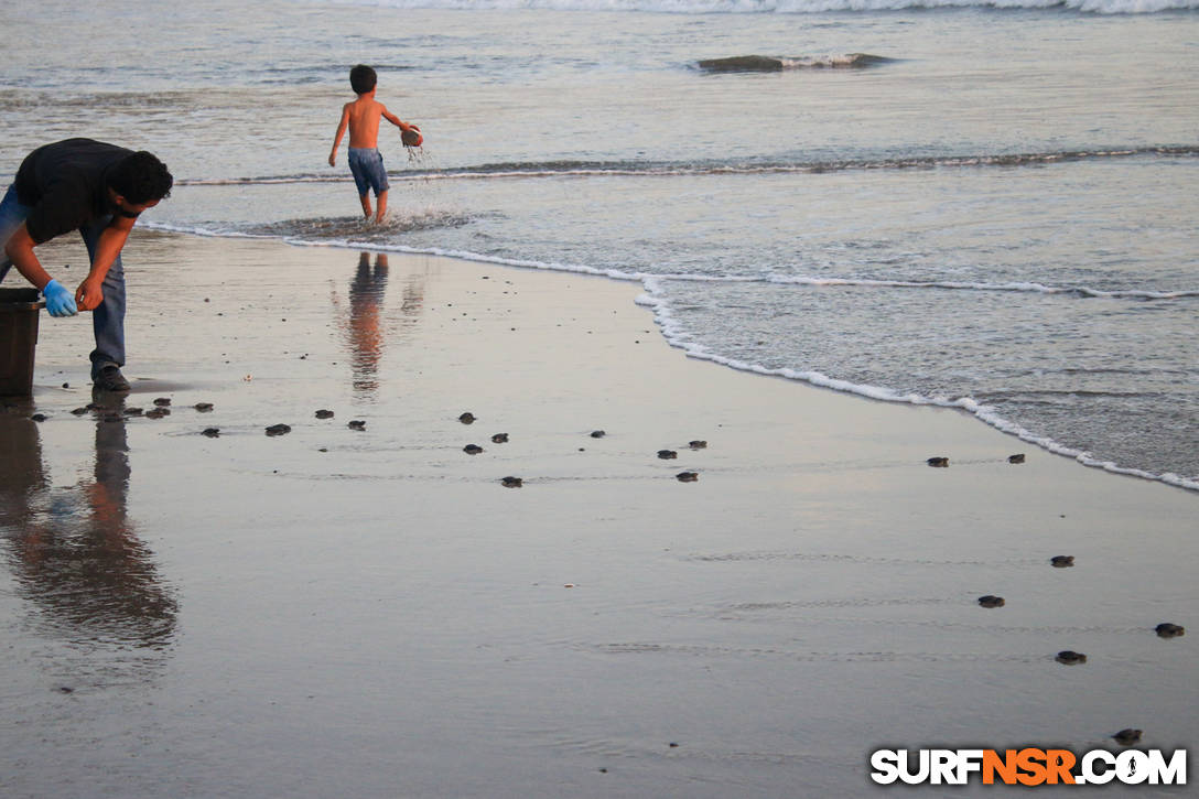 Nicaragua Surf Report - Report Photo 02/05/2020  8:25 PM 