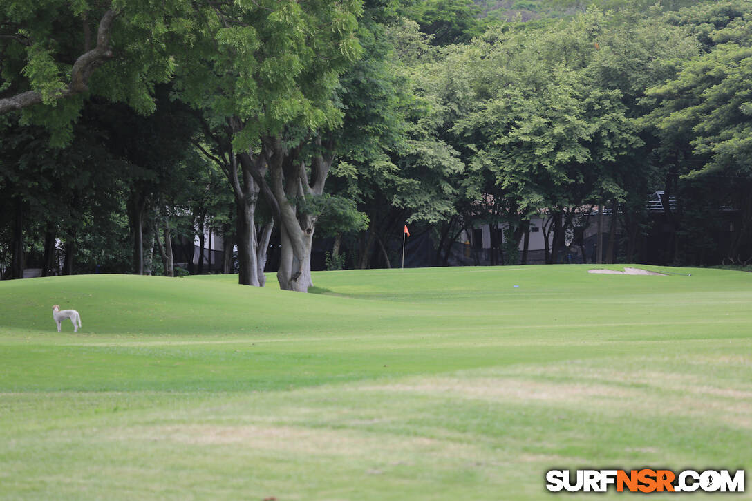 Nicaragua Surf Report - Report Photo 06/11/2024  2:22 PM 