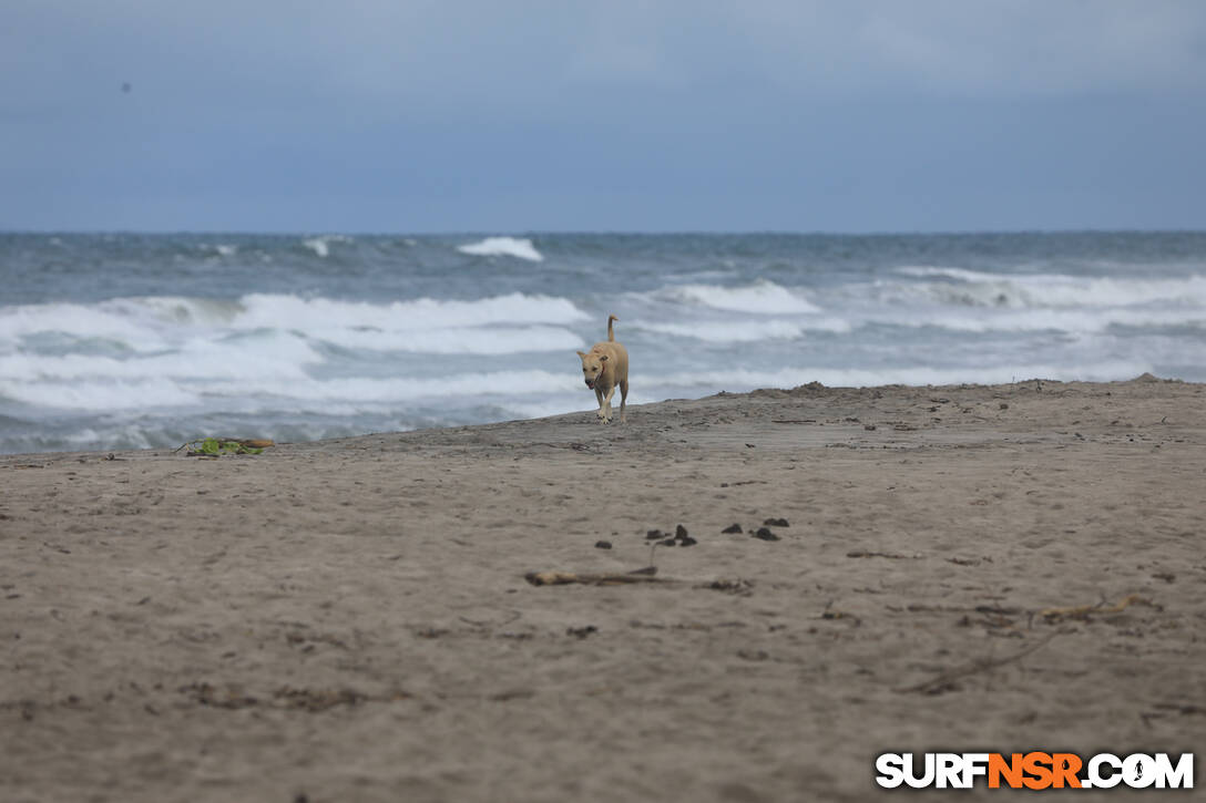 Nicaragua Surf Report - Report Photo 06/11/2024  2:21 PM 