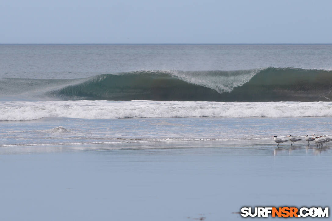 Nicaragua Surf Report - Report Photo 02/12/2024  11:01 PM 