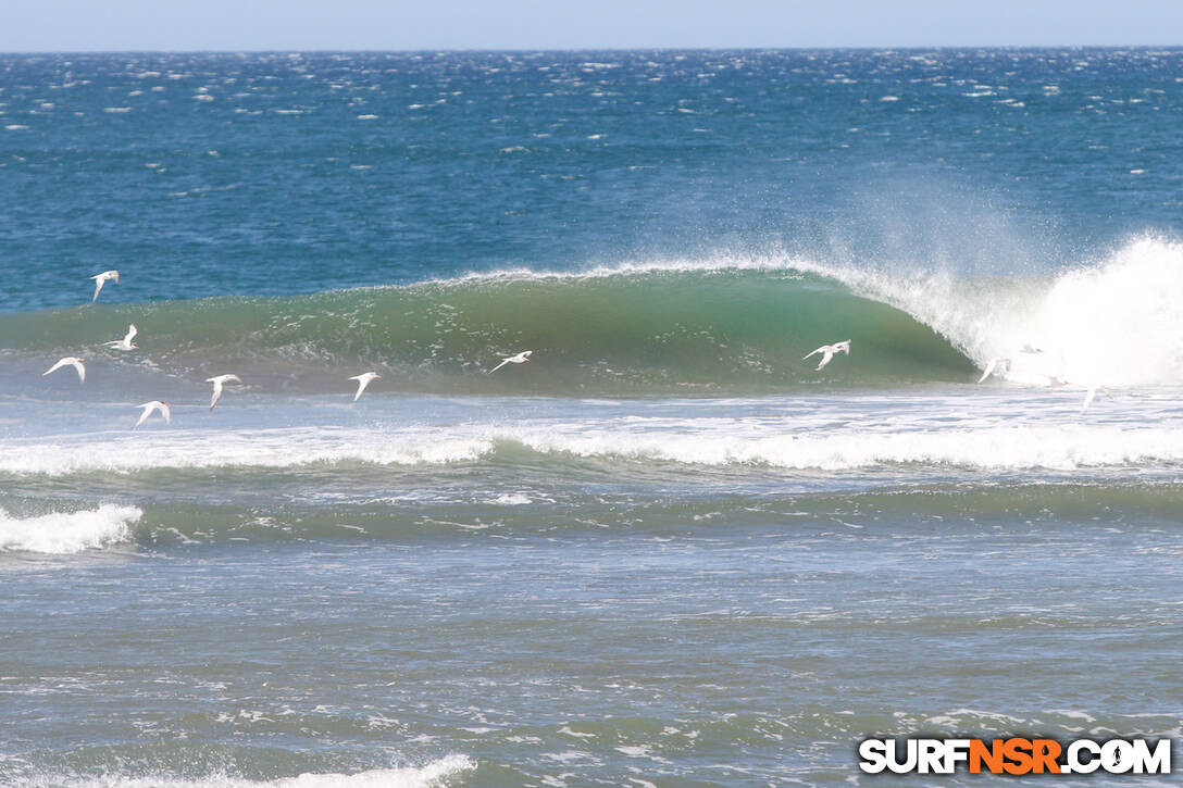 Nicaragua Surf Report - Report Photo 02/20/2024  7:10 PM 