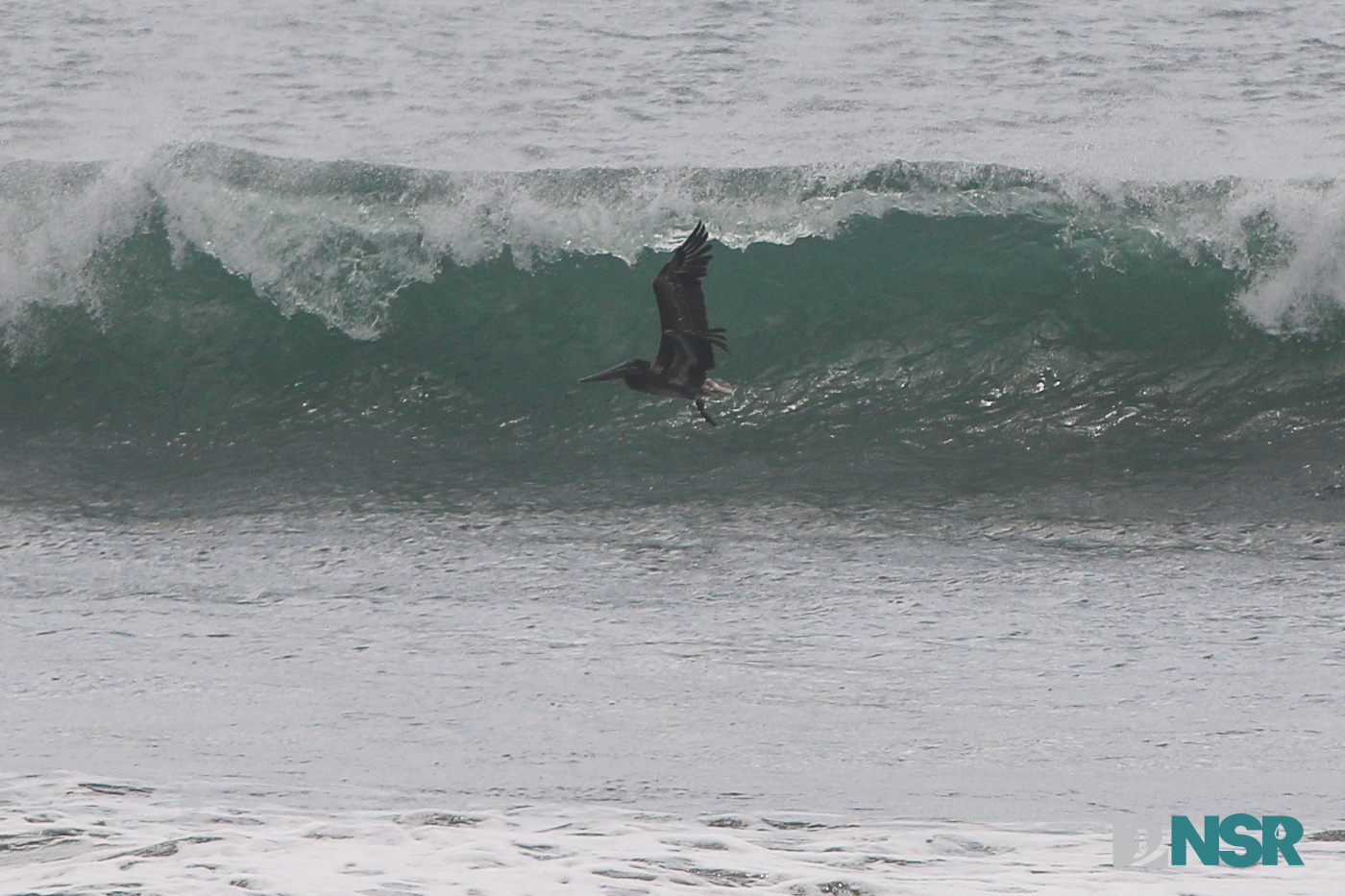 Nicaragua Surf Report - Report Photo 01/14/2025 11:41 pm