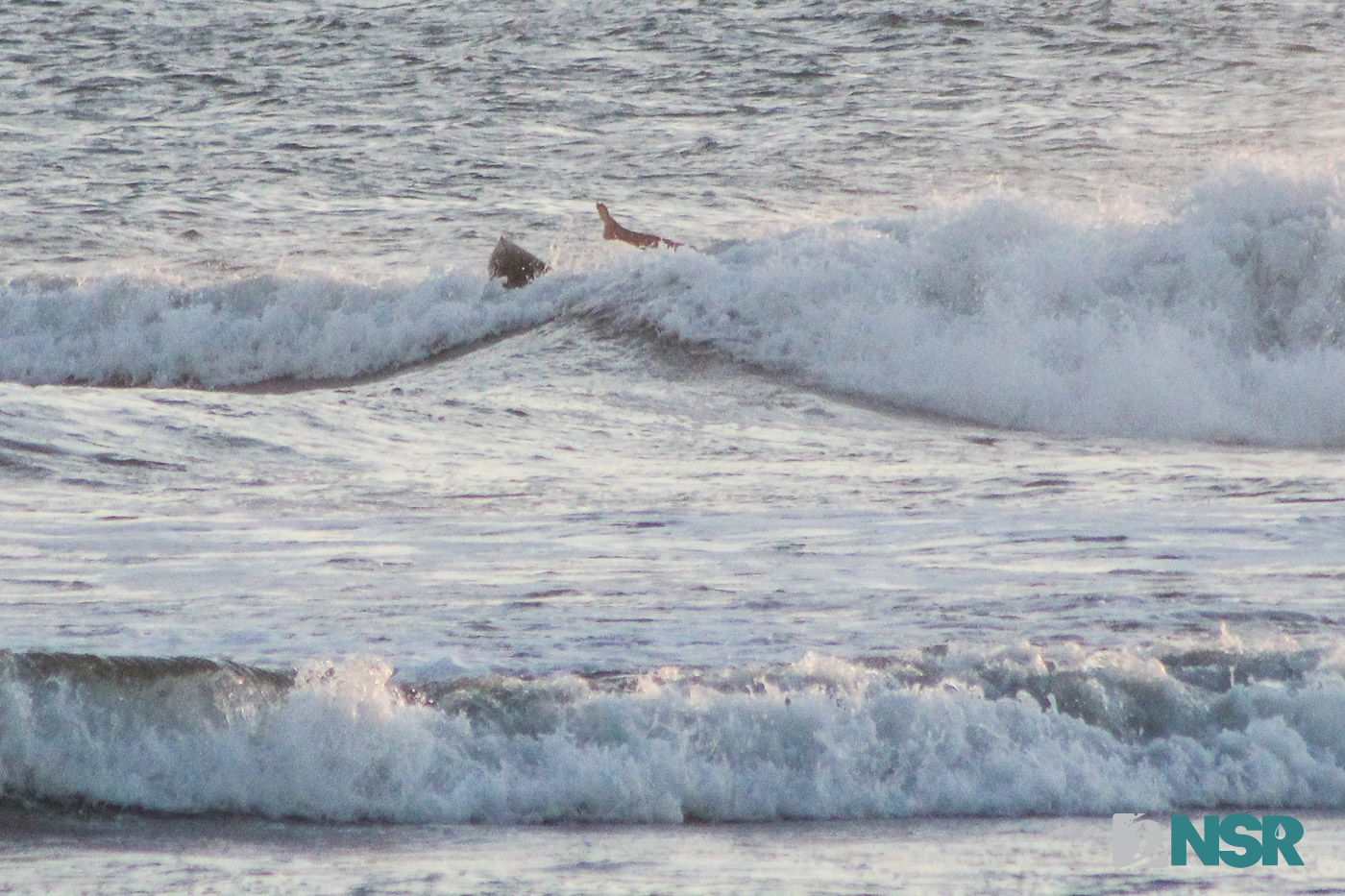 Nicaragua Surf Report - Report Photo 03/28/2025 10:21 pm