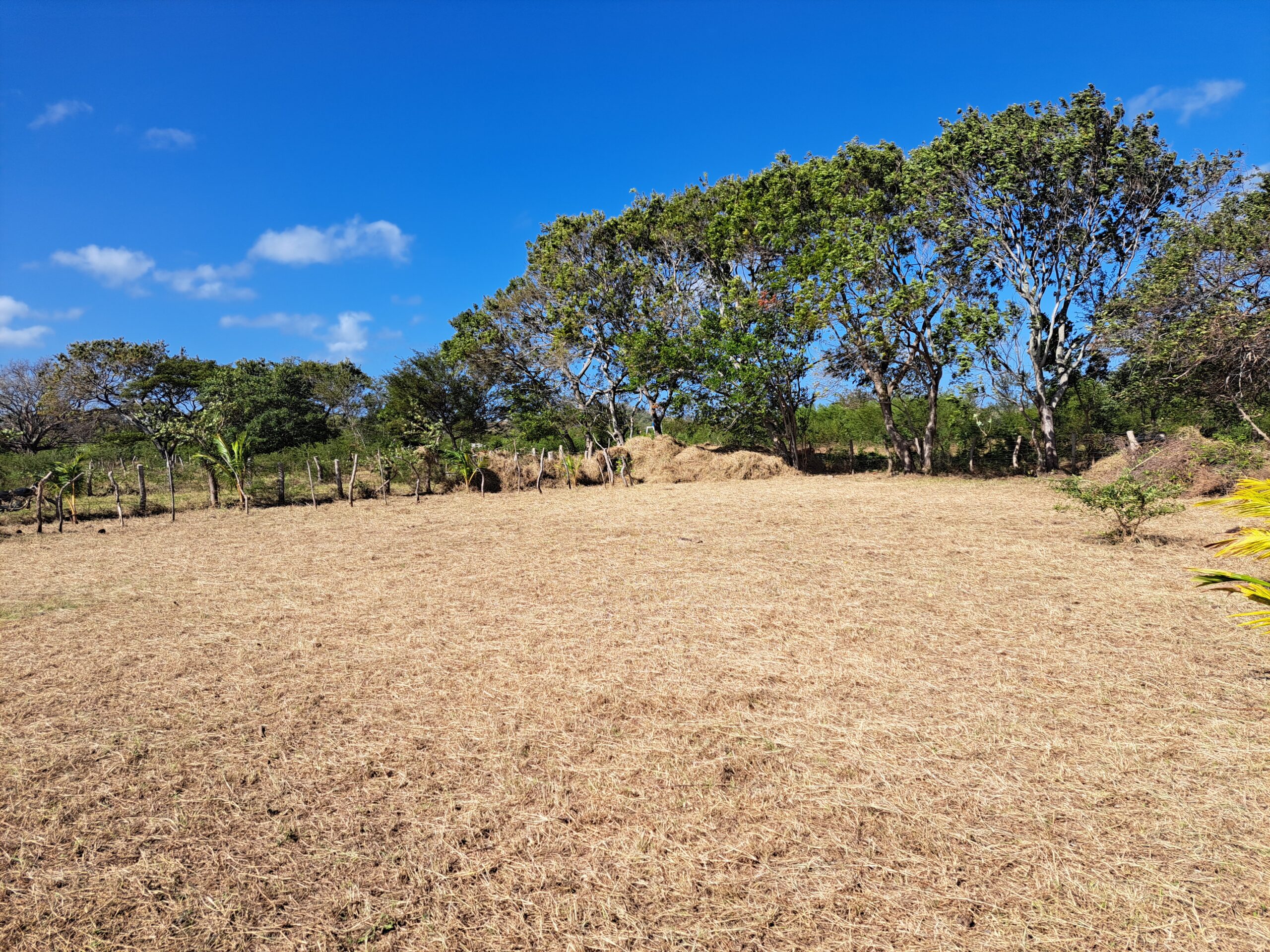 Flat Lot - Popoyo