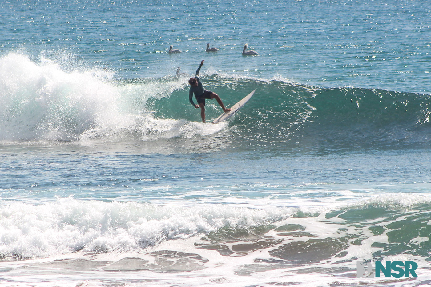 Nicaragua Surf Report - Report Photo 12/19/2025 11:08 pm