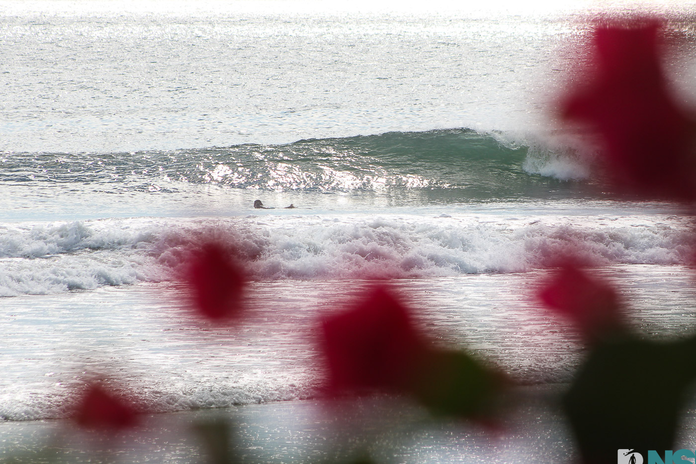 Nicaragua Surf Report - Report Photo 01/31/2026 10:35 pm