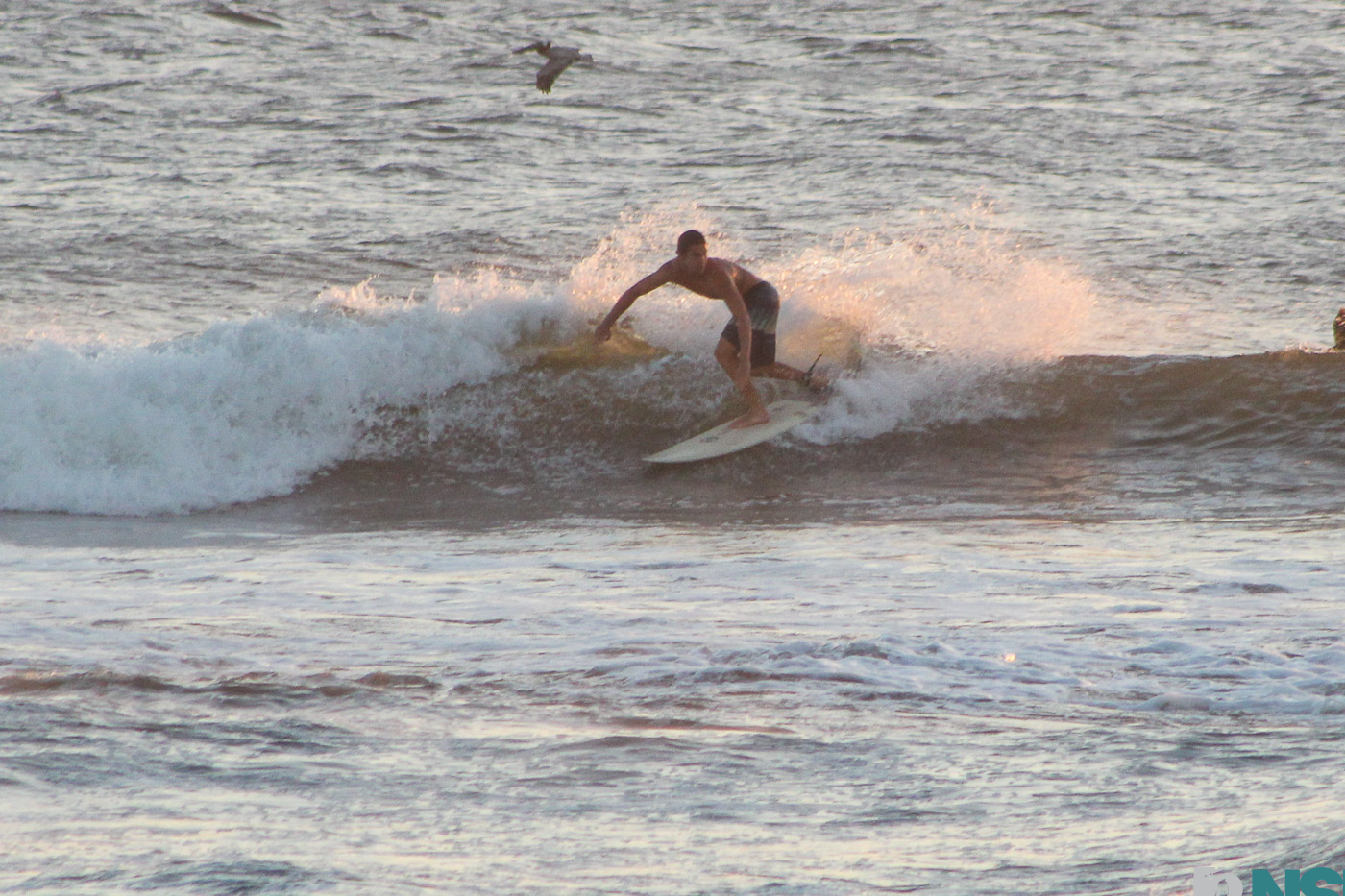 Nicaragua Surf Report - Report Photo 02/10/2026 10:46 pm