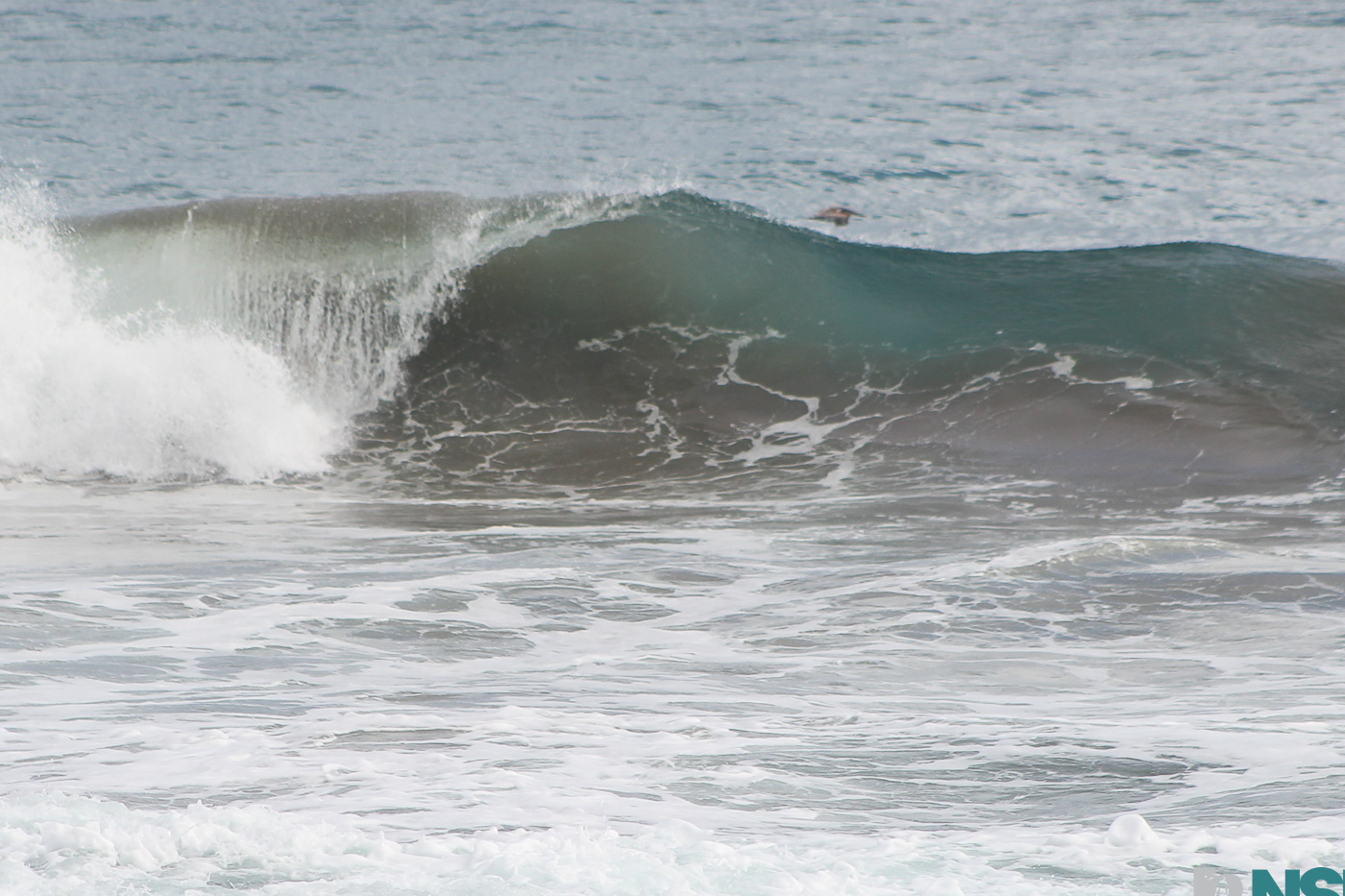 Nicaragua Surf Report - Report Photo 06/06/2026 11:13 pm