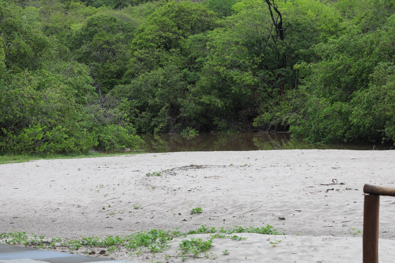 Nicaragua Surf Report - Report Photo 09/21/2026 